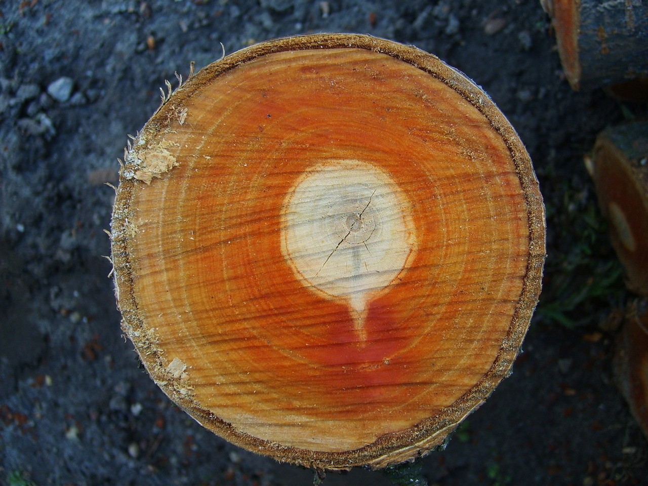 Jakie właściwości drewna są ważne?